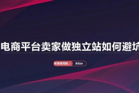 电商老司机插件（电商老司机插件怎么用）